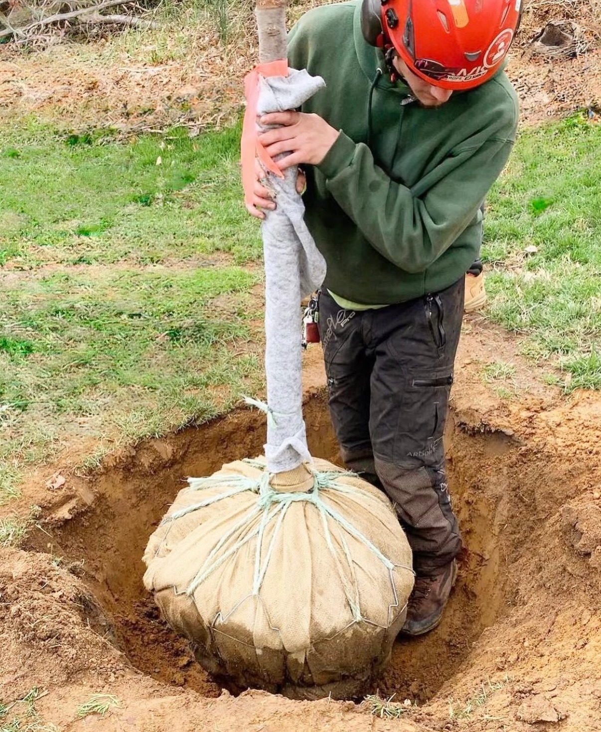 Treeco Solutions - Expert Arborist Facebook ad