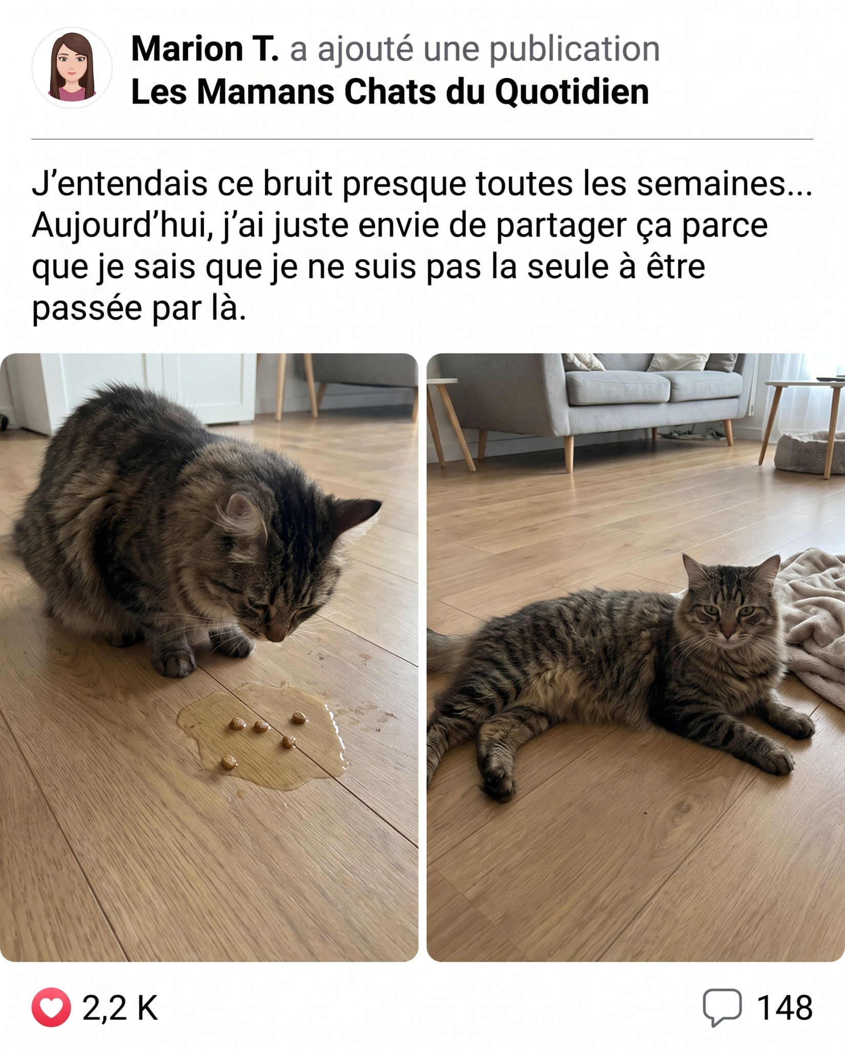 Sophie Martin Facebook ad: STOP: ne changez pas encore ses croquettes