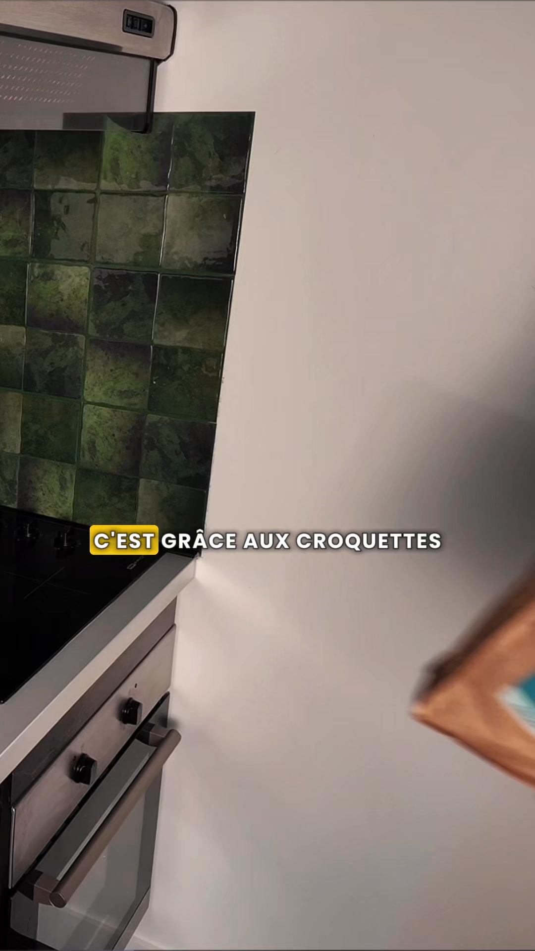 Franklin Pet Food Facebook ad: Croquettes digestion sensible