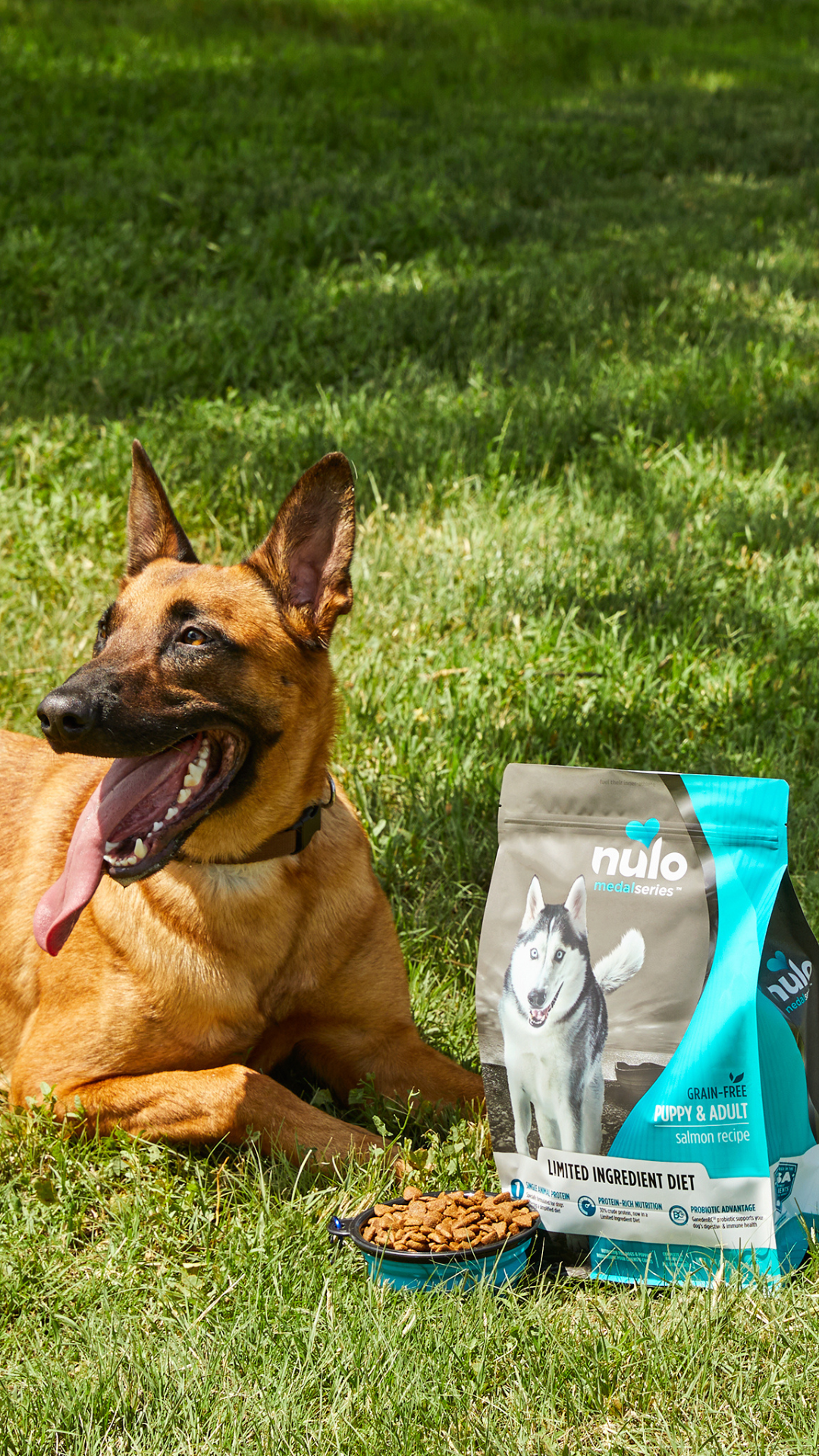 Petco Facebook ad