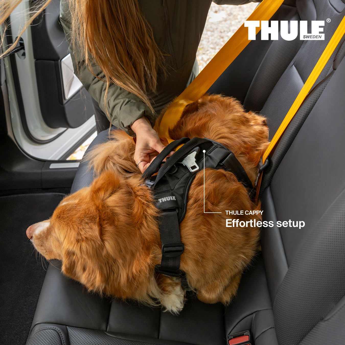 Thule Facebook ad