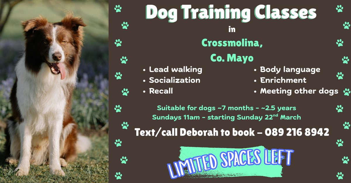 Oak & Howl Dog Behaviour and Training Facebook ad: DOG TRAINING CLASSES in CROSSMOLINA