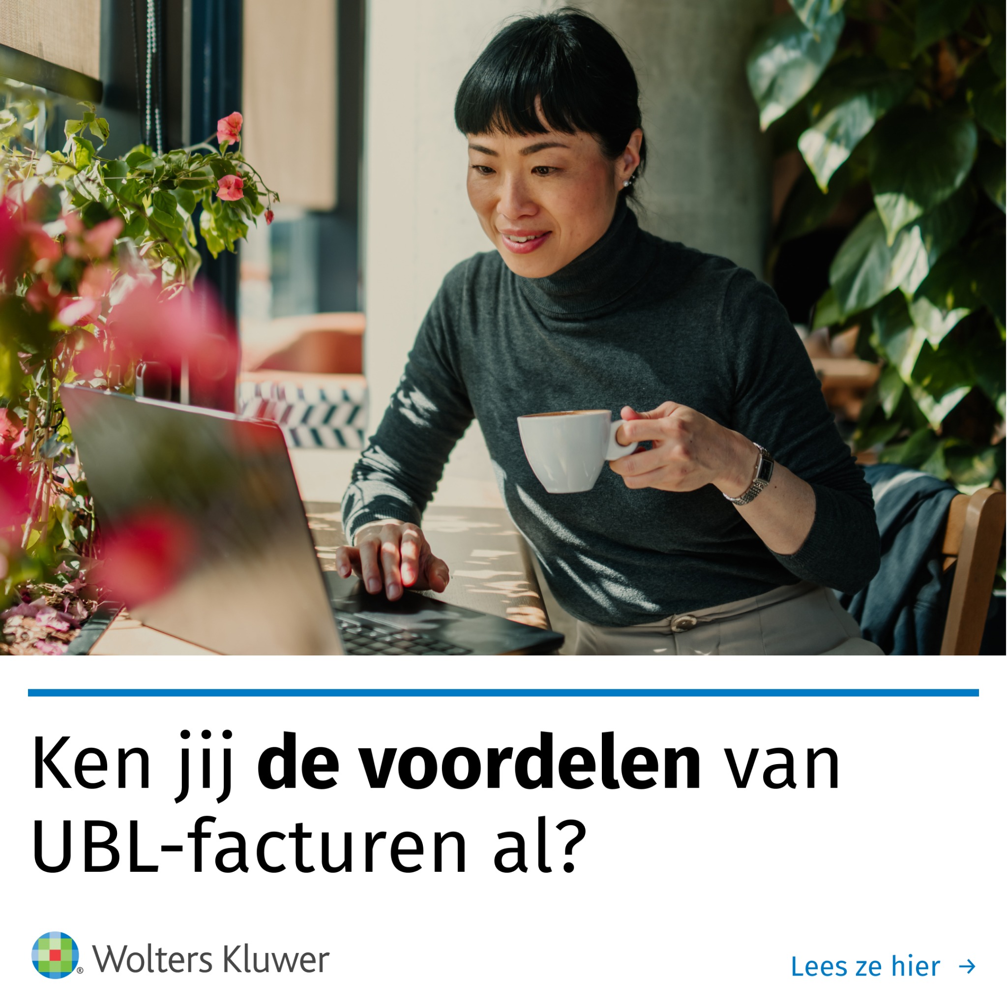 Basecone Facebook ad