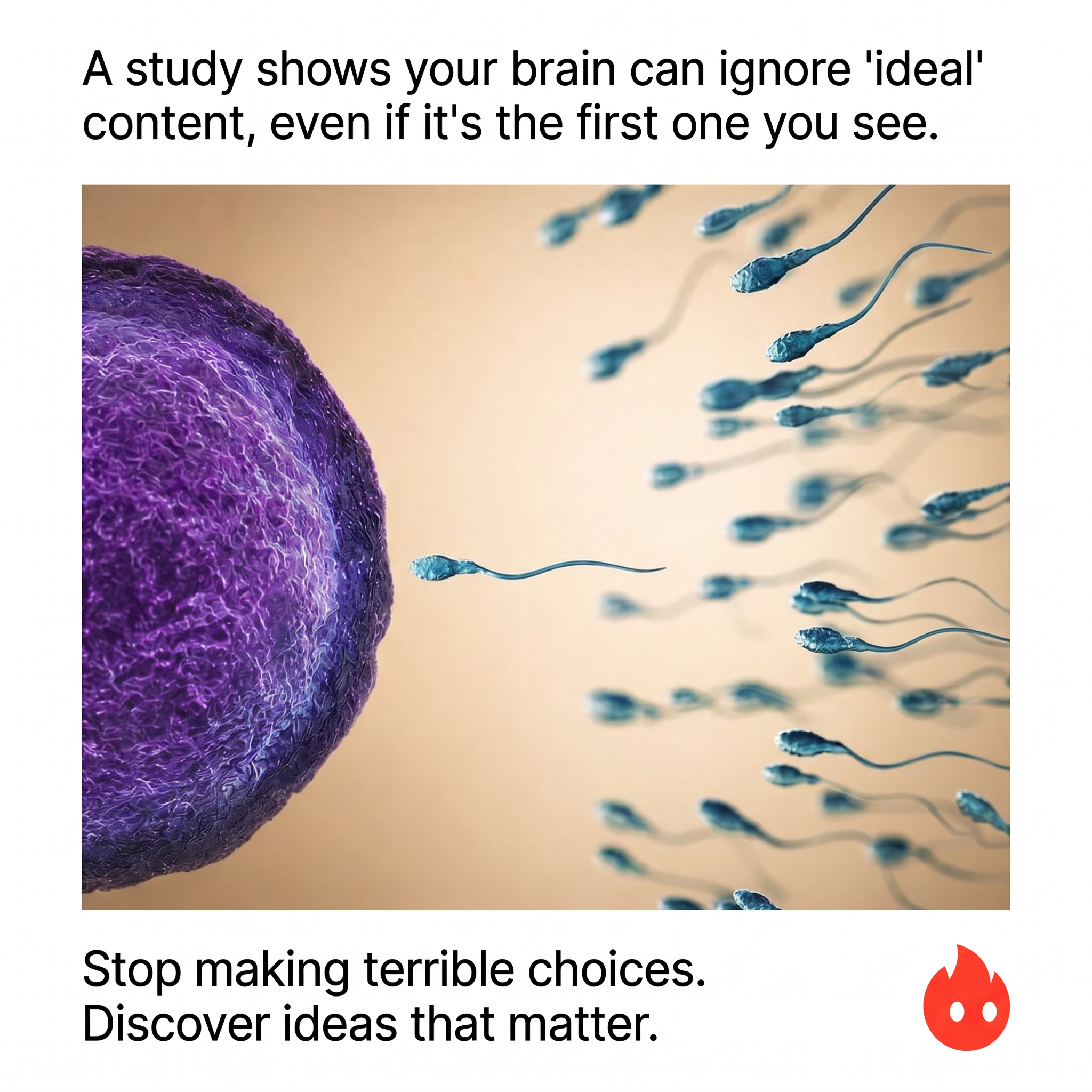 Deepstash Facebook ad