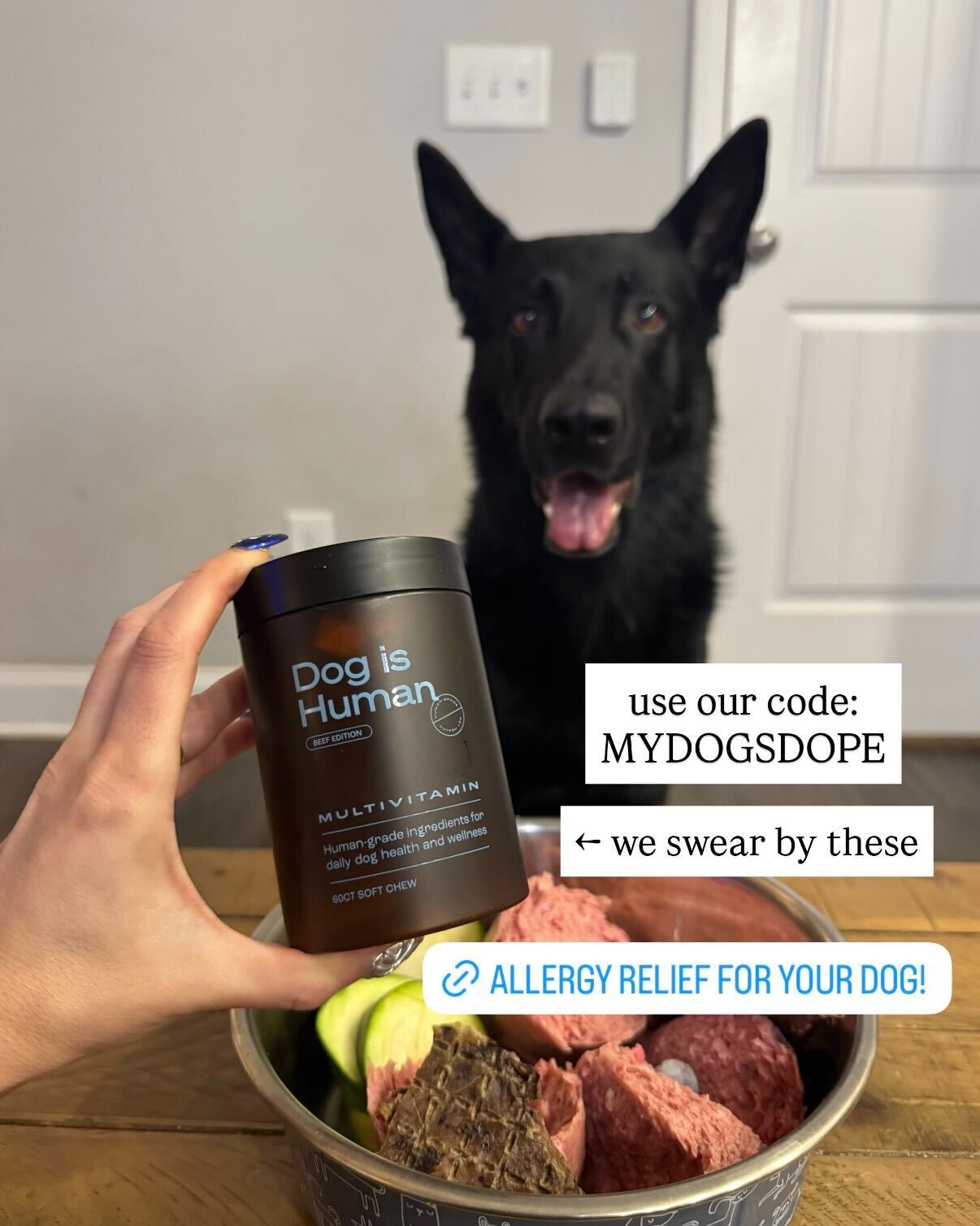 Dog is Human Facebook ad