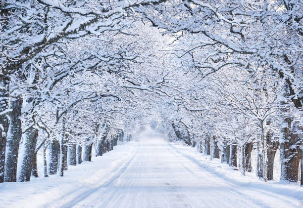 A-1 Heating and Air Conditioning Facebook ad