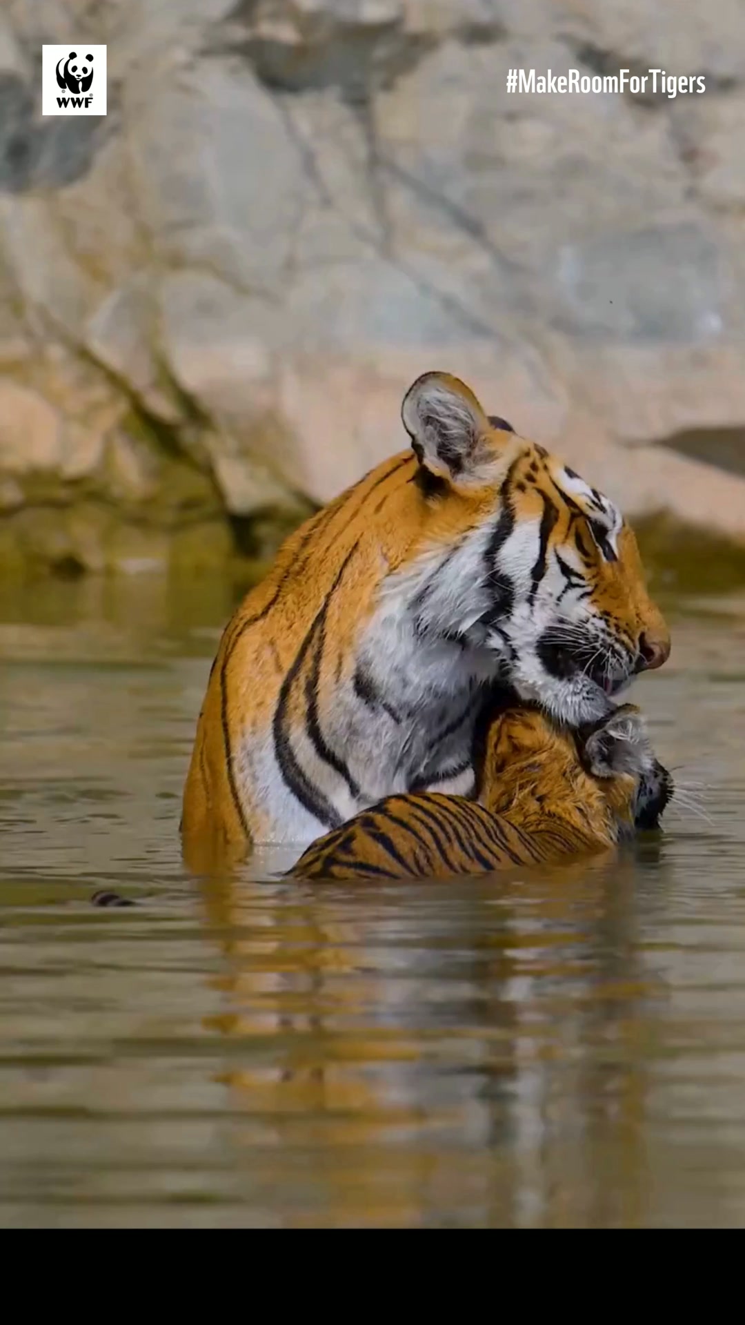 WWF-India Facebook ad: Their Future Depends on What We Do Today