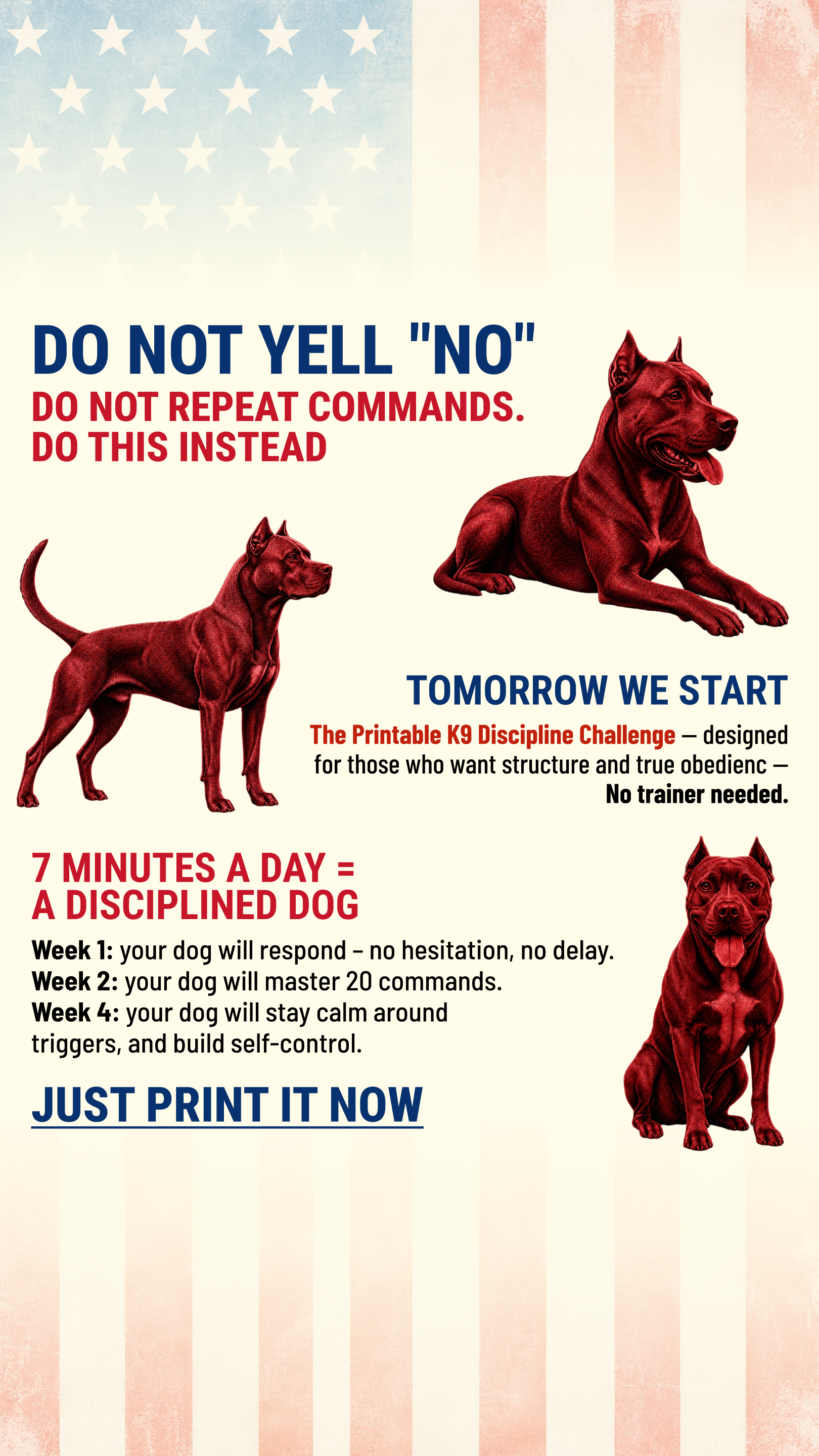 Max Anderson Facebook ad: Take the lead. Start now
