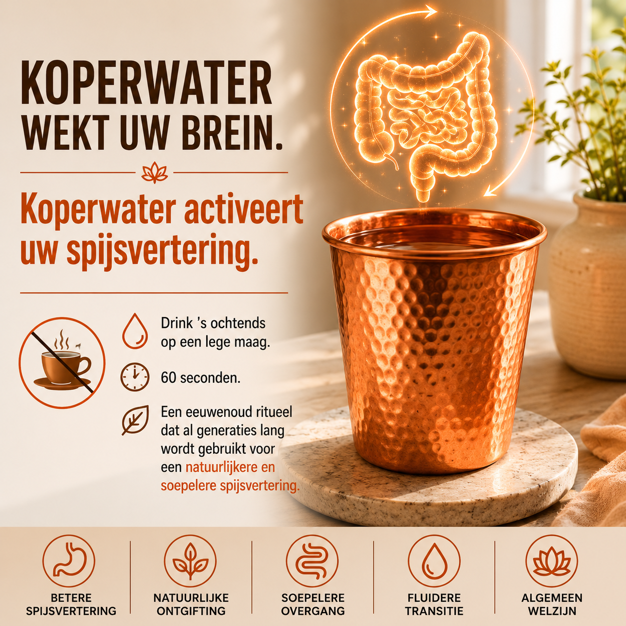 Luisa Bakker Facebook ad