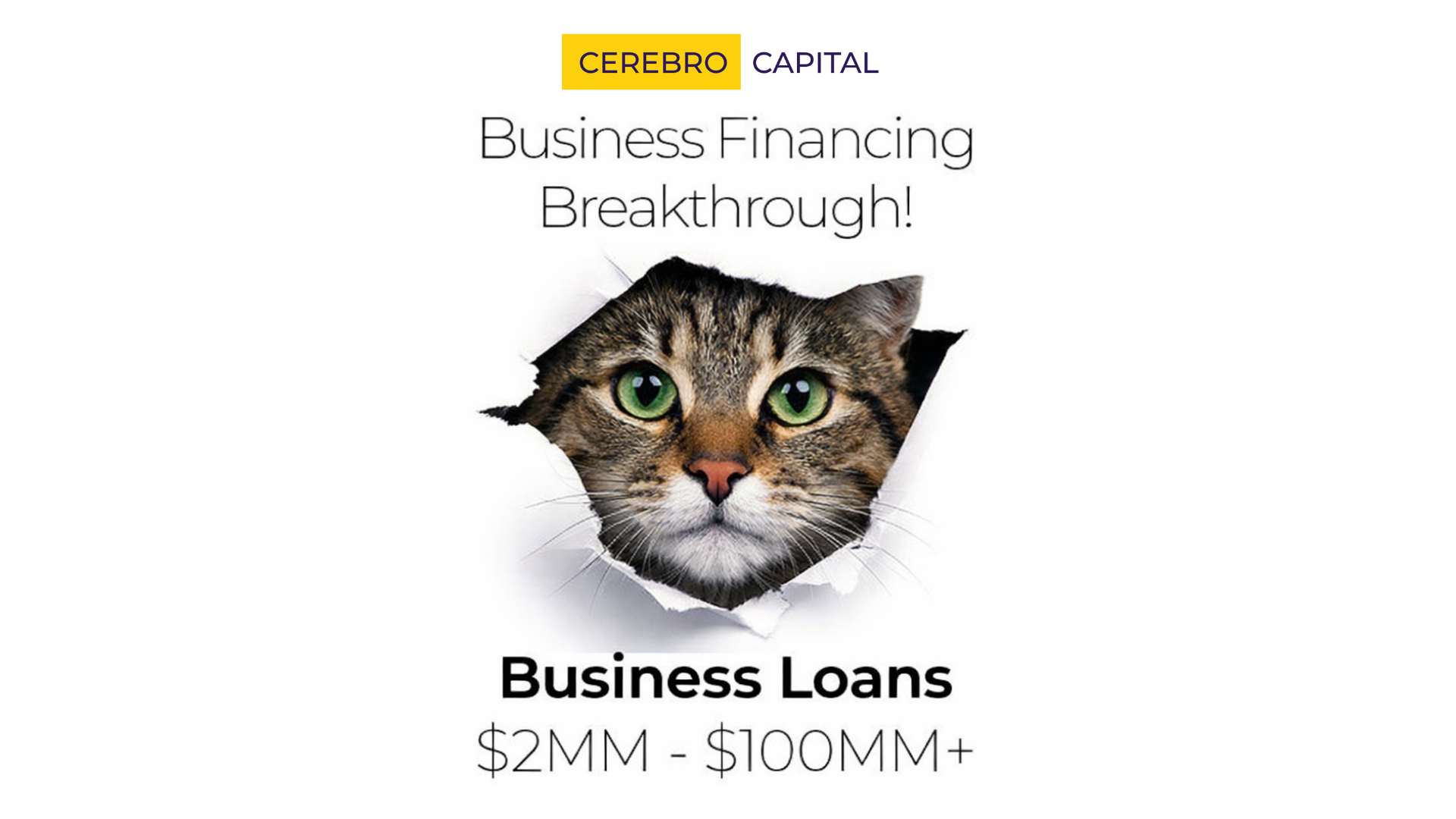 Cerebro Capital Facebook ad