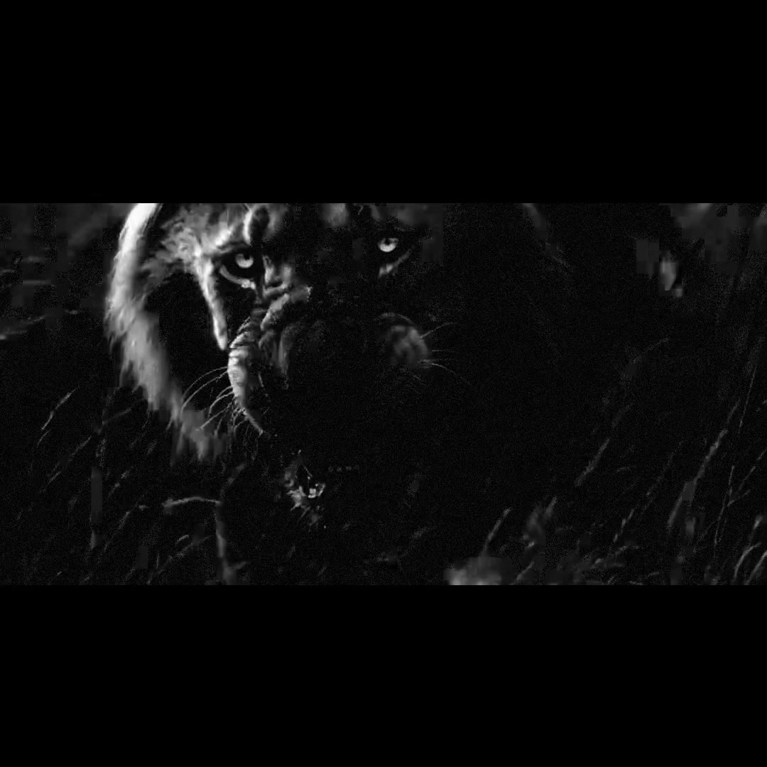 XII Legions Facebook ad: The Psalm 3:7 Collection