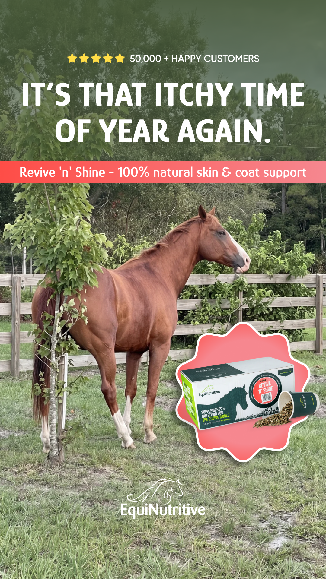 EquiNutritive Facebook ad