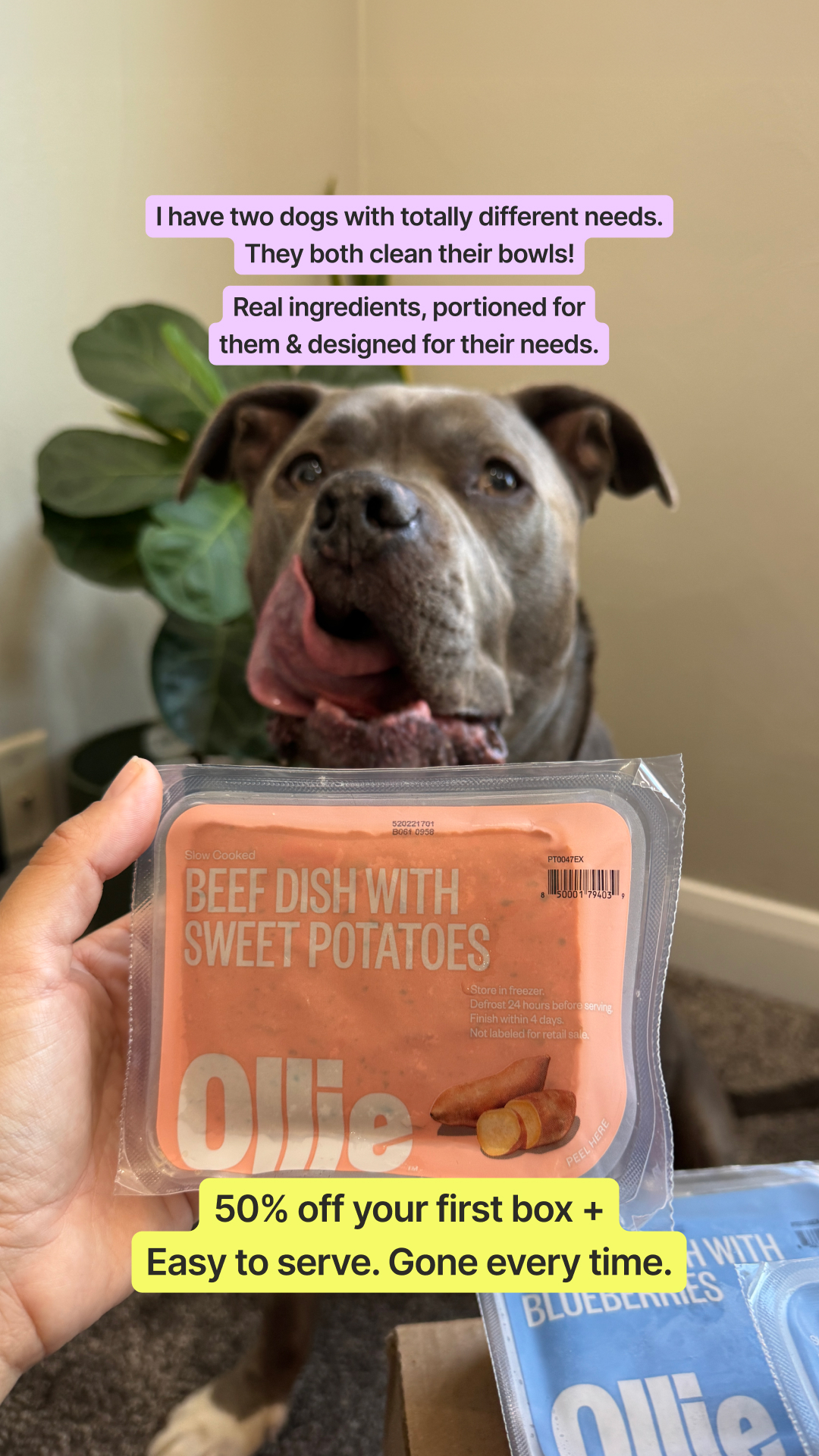 Duke.thebluepit Facebook ad