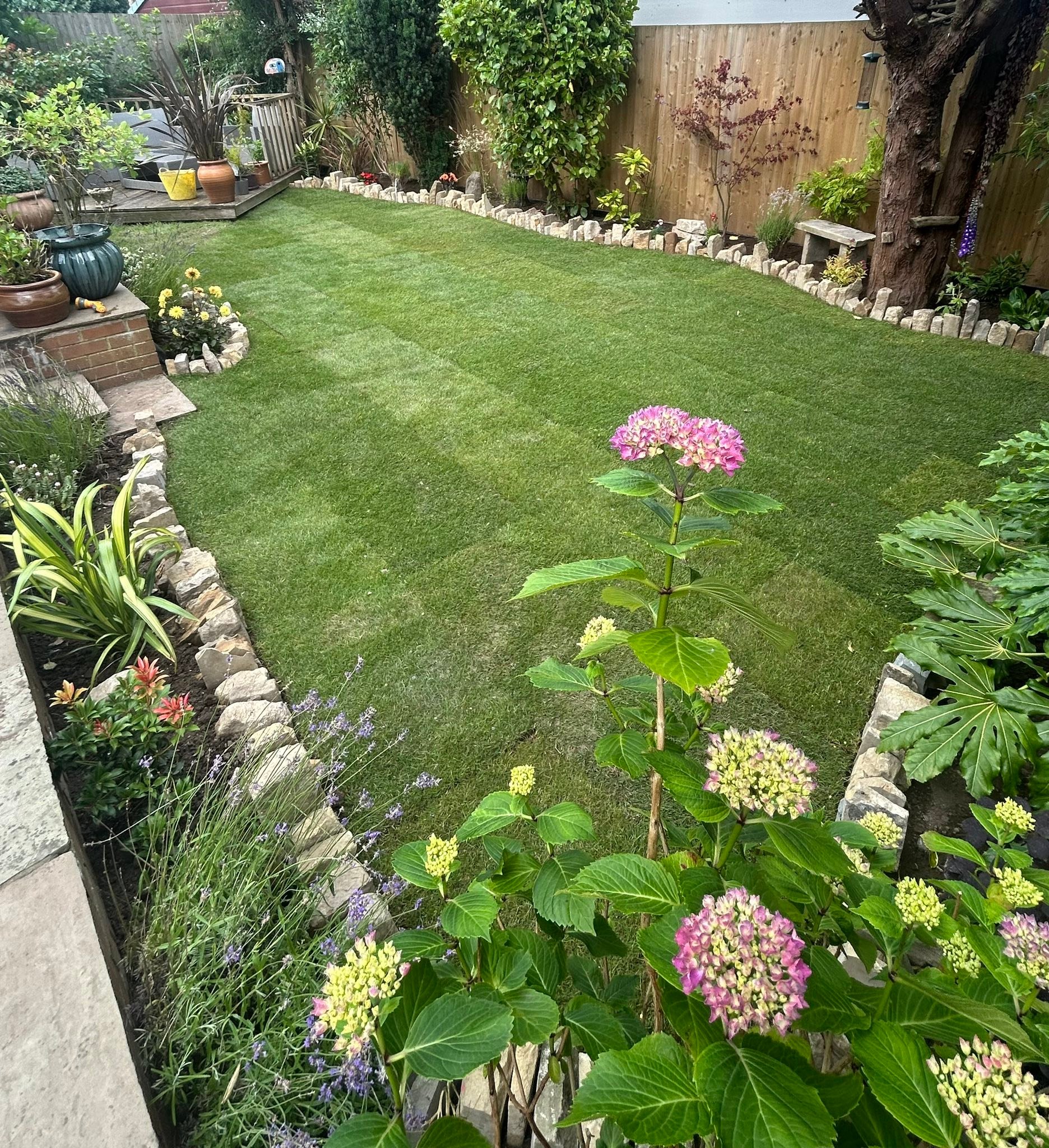 Topscape Landscaping Facebook ad: Building a New Home in 2026?