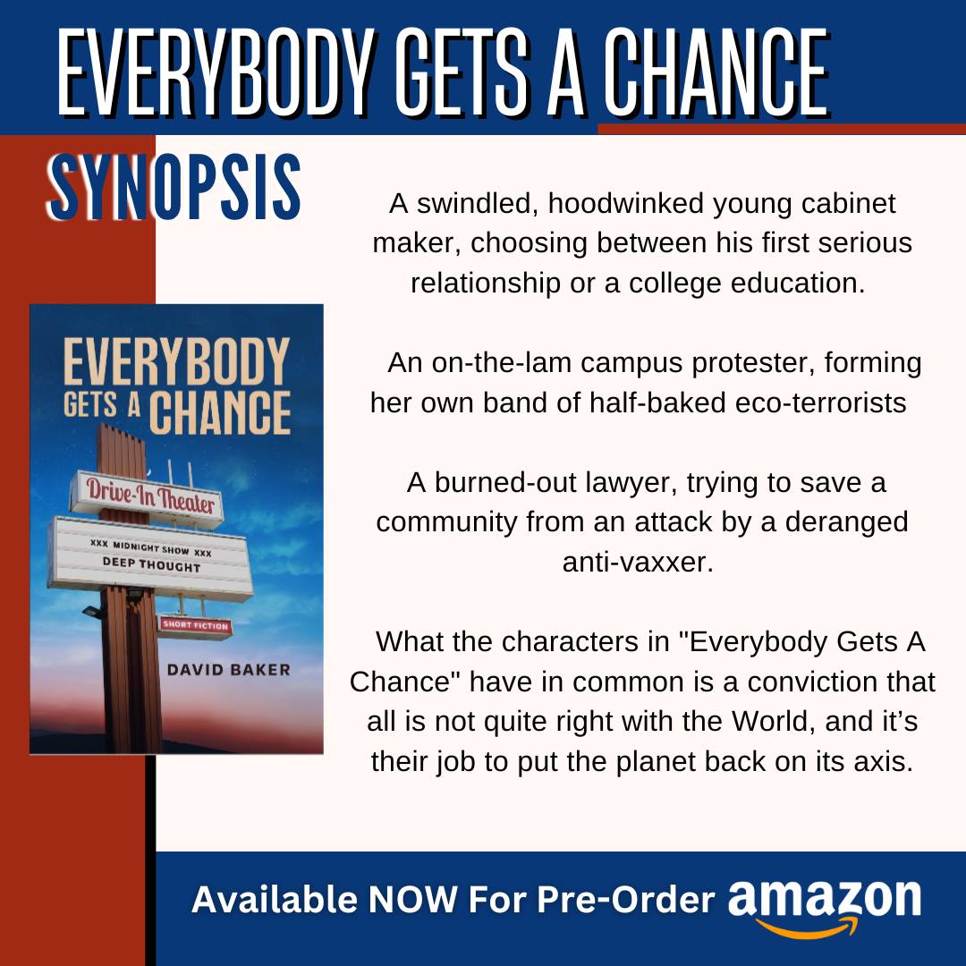 D Baker Author Facebook ad: Everybody Gets A Chance
