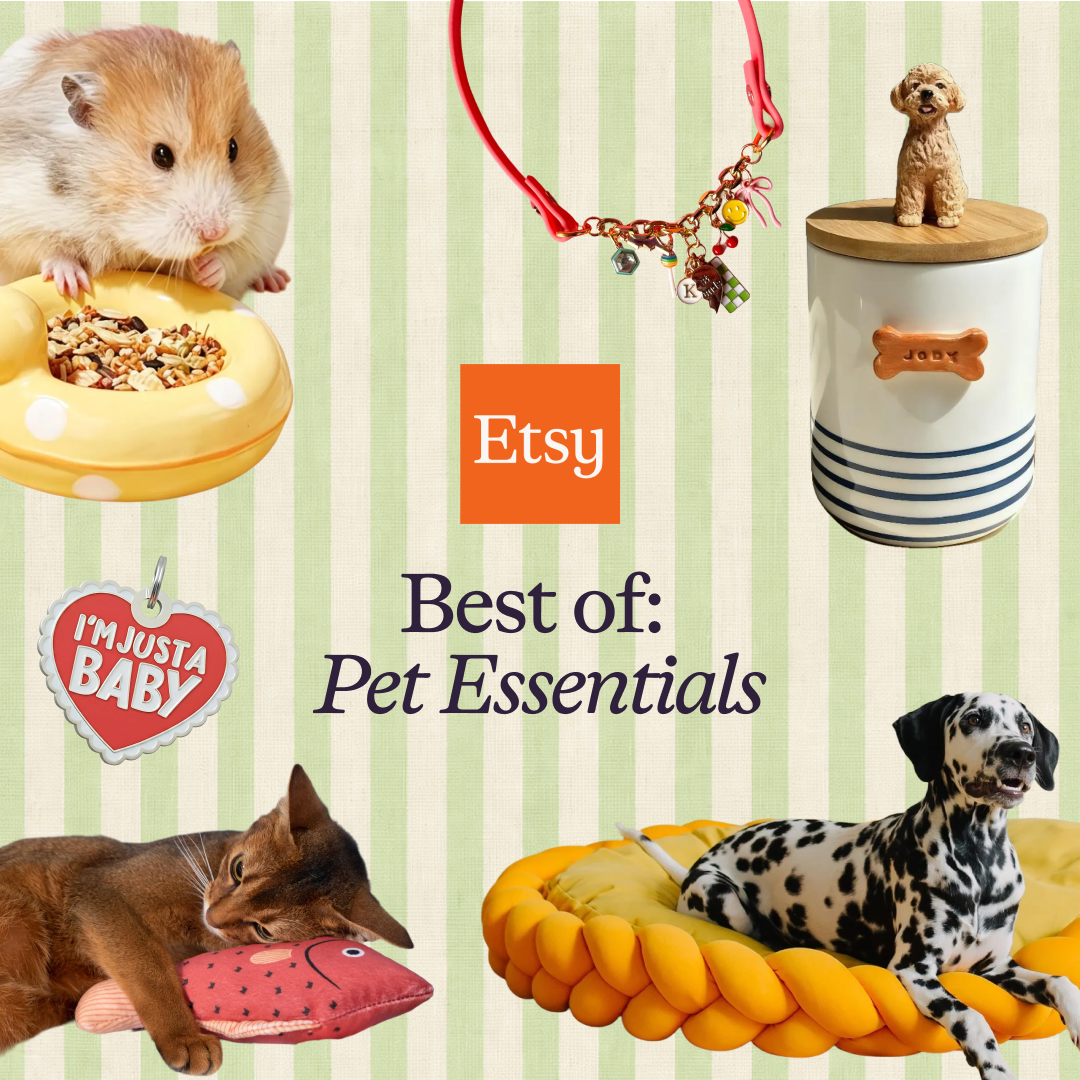 Etsy Facebook ad: Enter your pet parent era with the best…