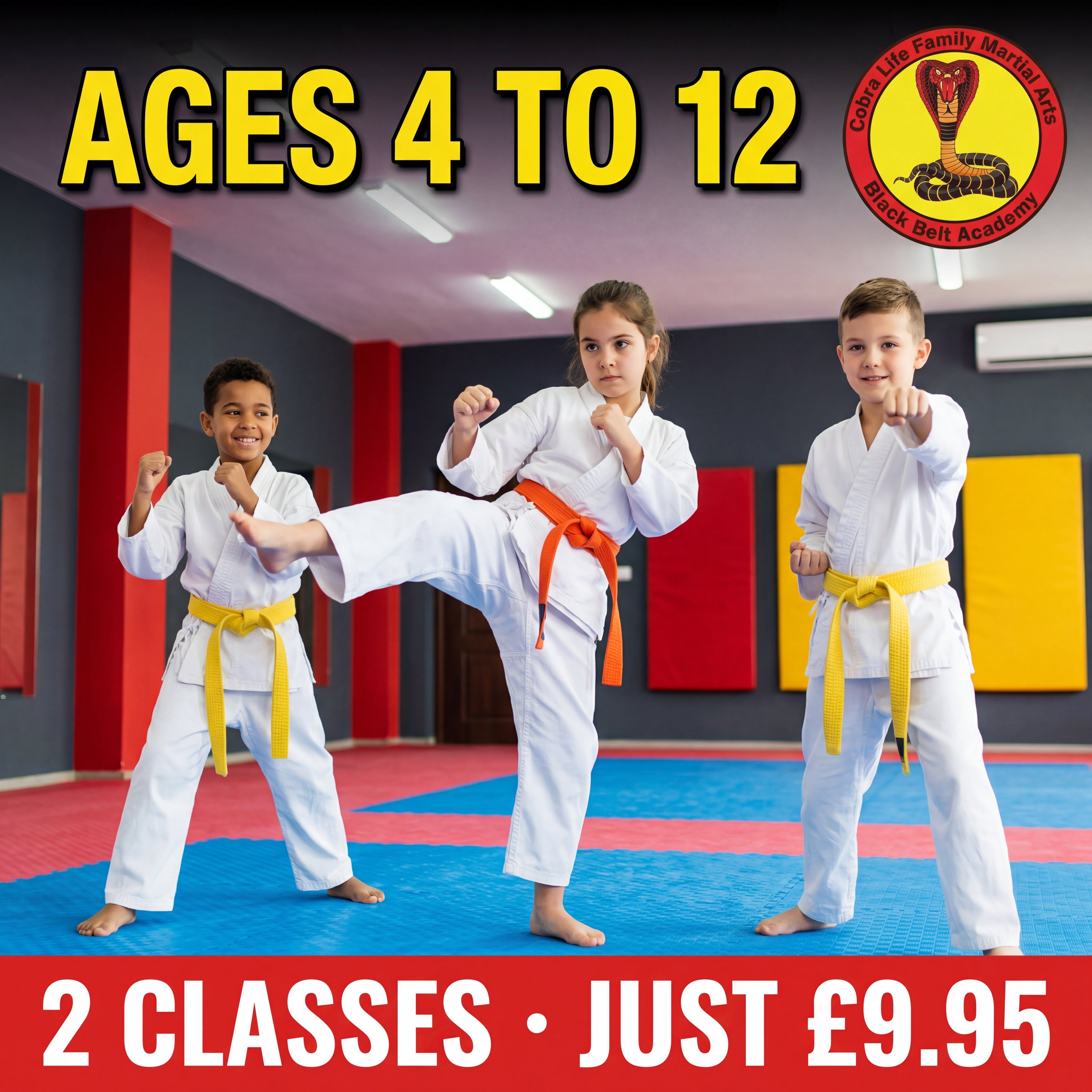 Cobra Life Family Martial Arts Black Belt Academy Facebook ad