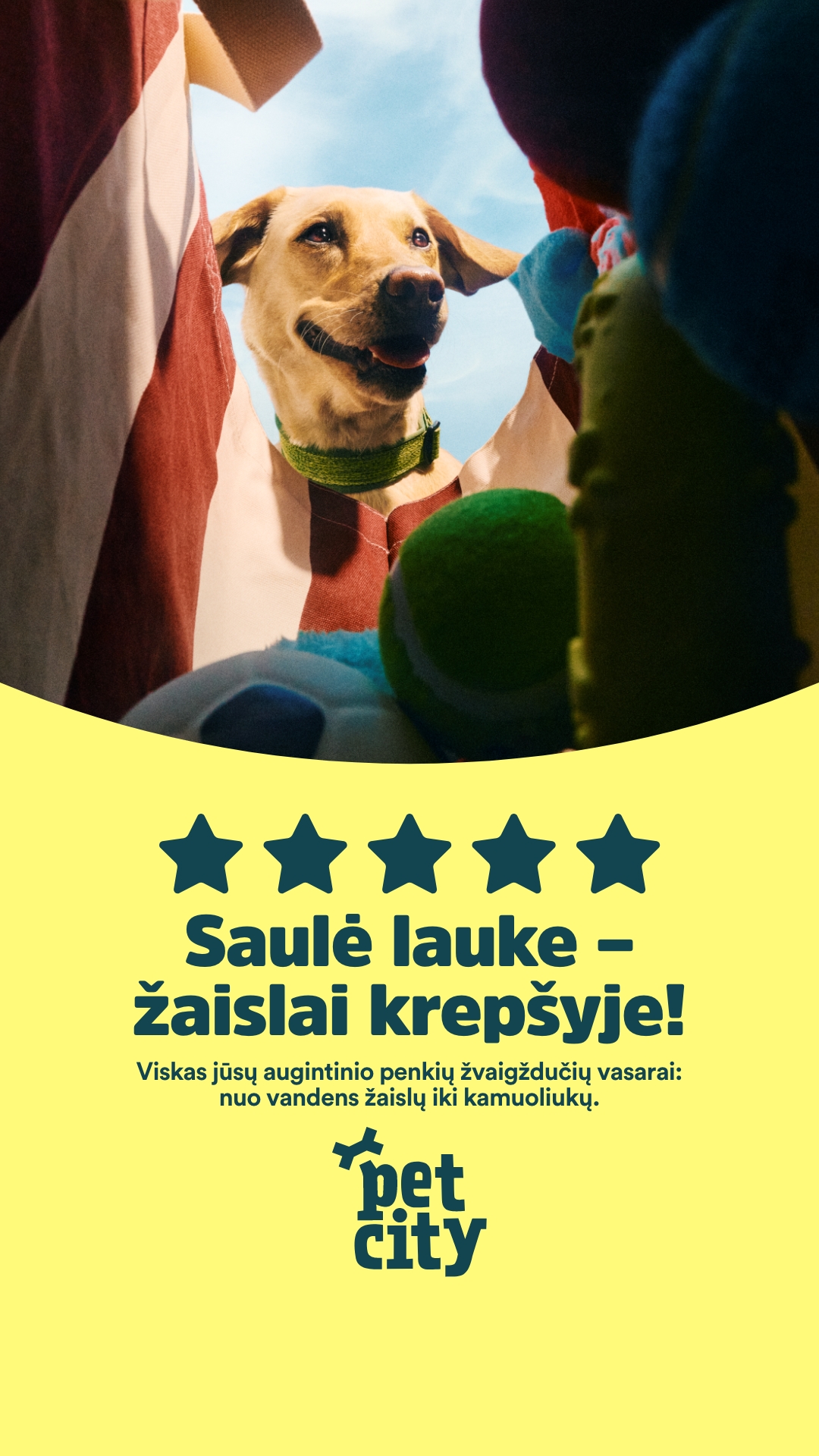 PetCity Lietuva Facebook ad