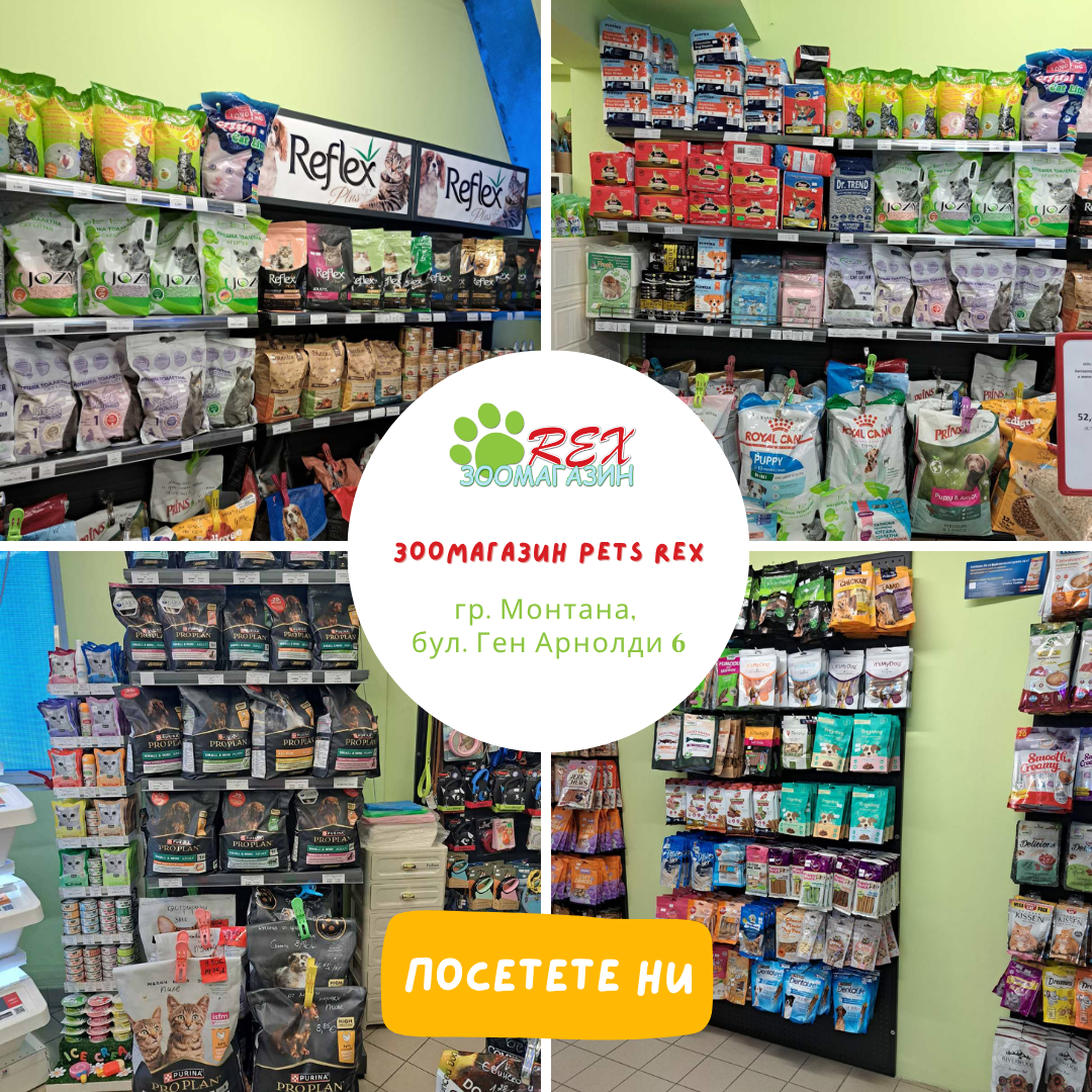 Зоо магазин REX Facebook ad: Всичко за твоя любимец на едно място в Монтана!