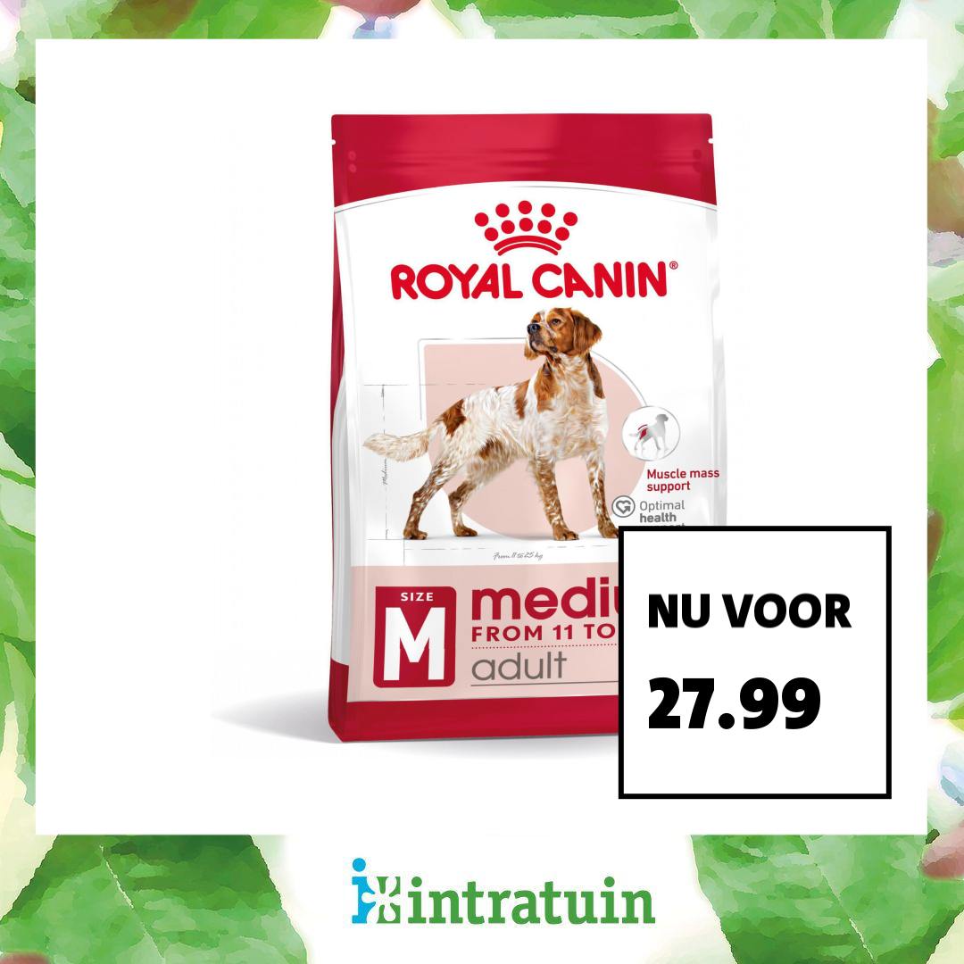 Intratuin Facebook ad