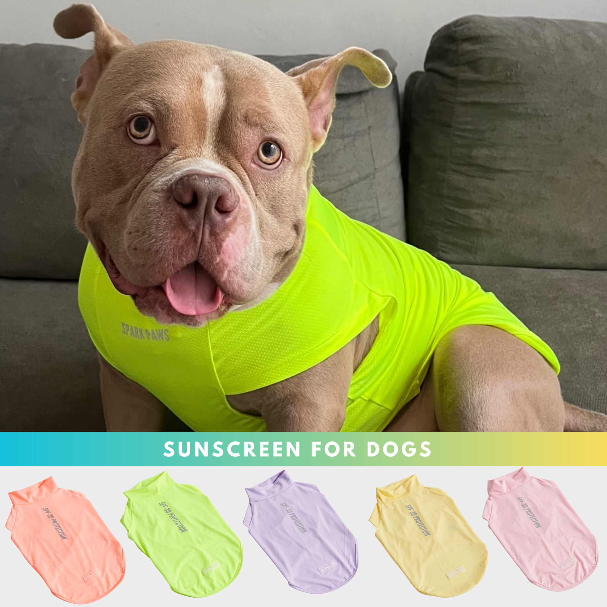 Spark Paws Facebook ad