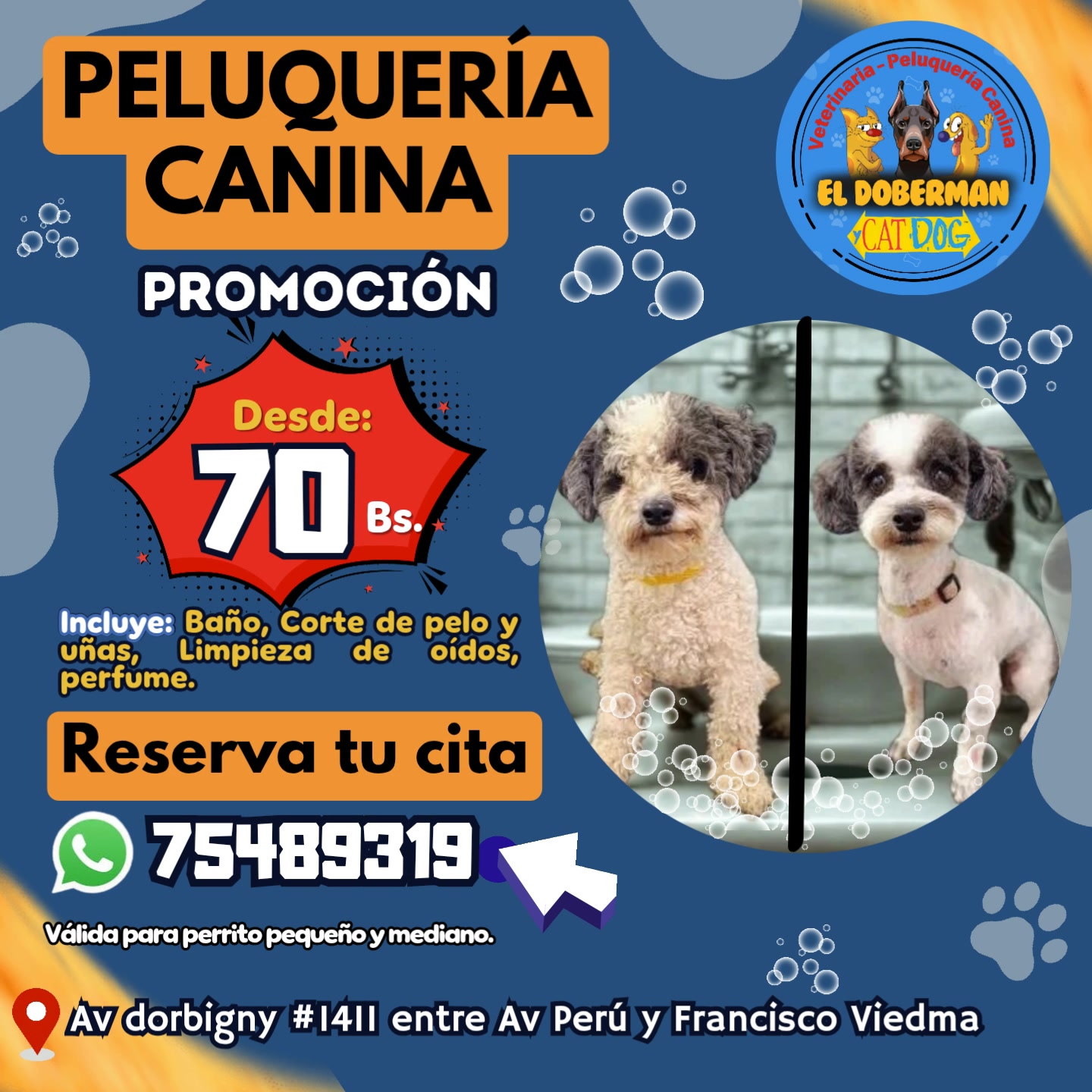 Veterinaria El Doberman y CatDog Facebook ad: reserva tu hora