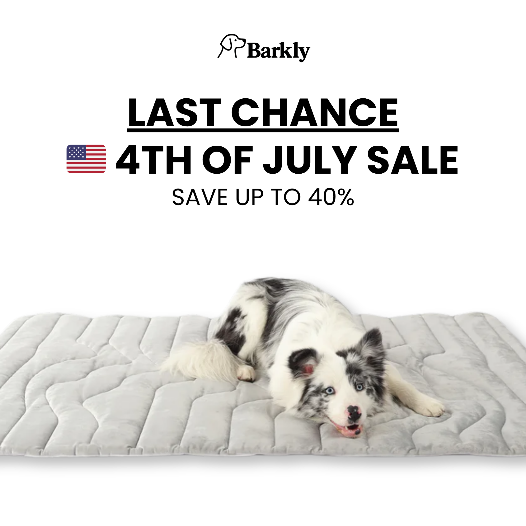 Barkly Facebook ad