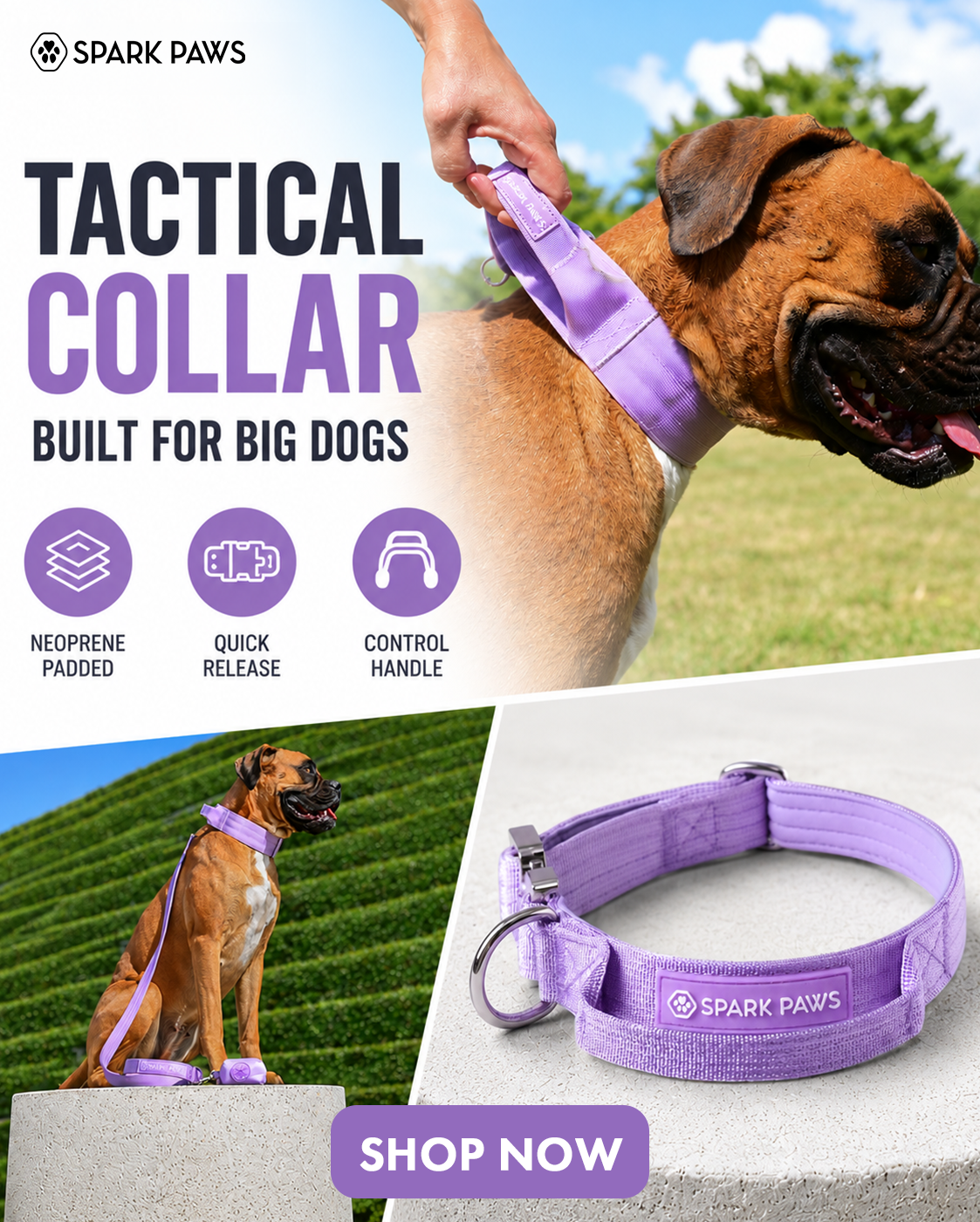 Spark Paws Facebook ad