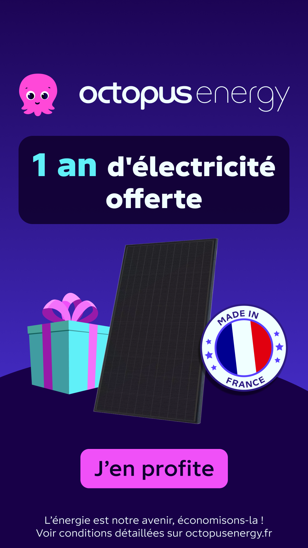 Octopus Energy Facebook ad