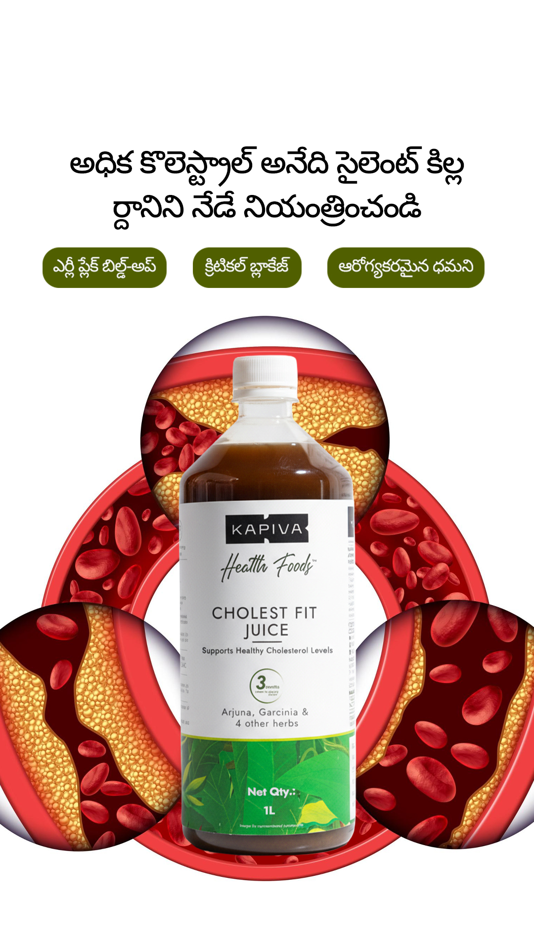 Chronic Health Solutions by Kapiva Facebook ad