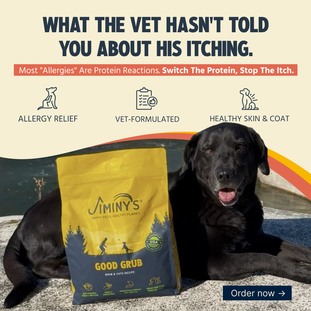 Jiminy's Facebook ad: Here's What Actually Works For Him | Jiminy's
