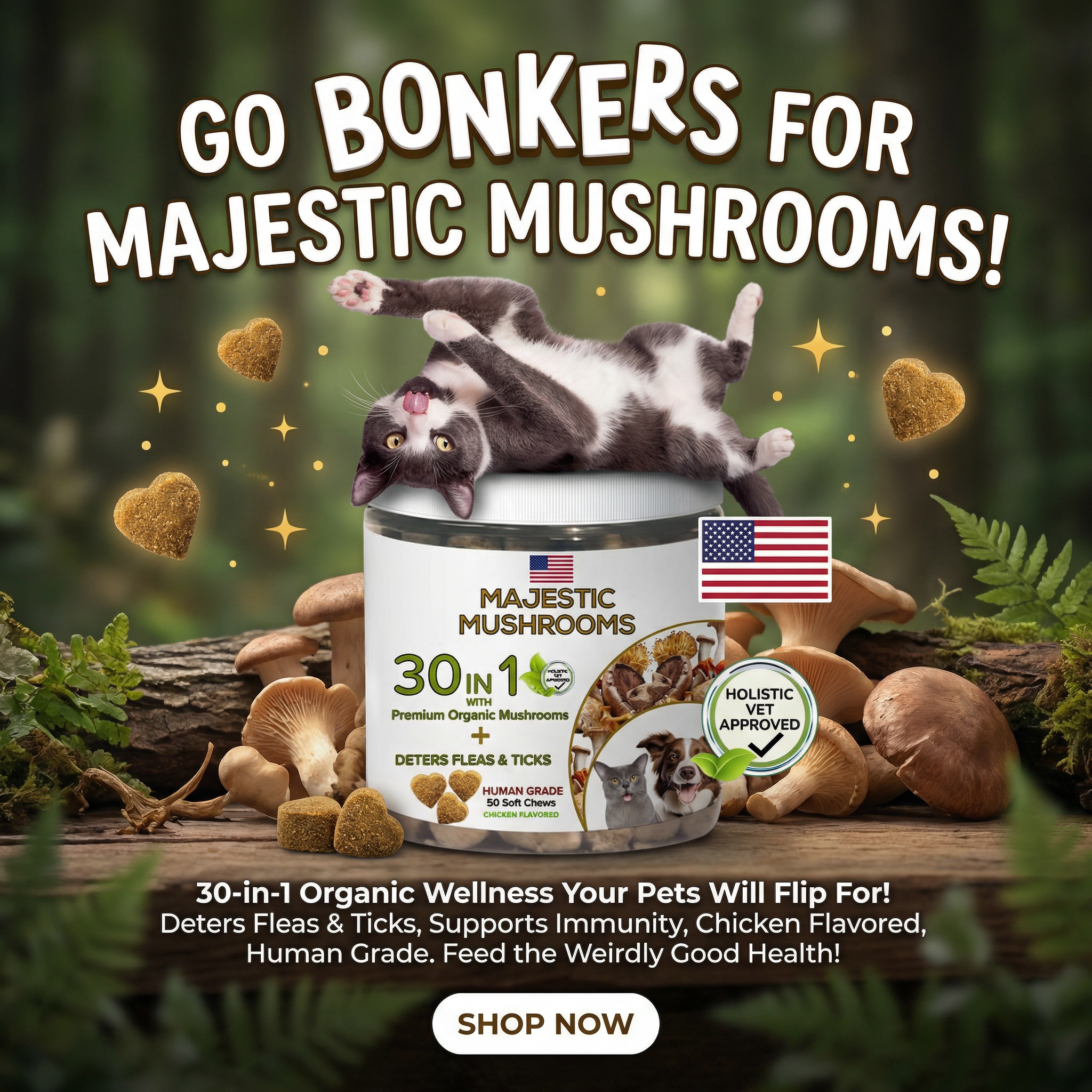We Love Pets Facebook ad