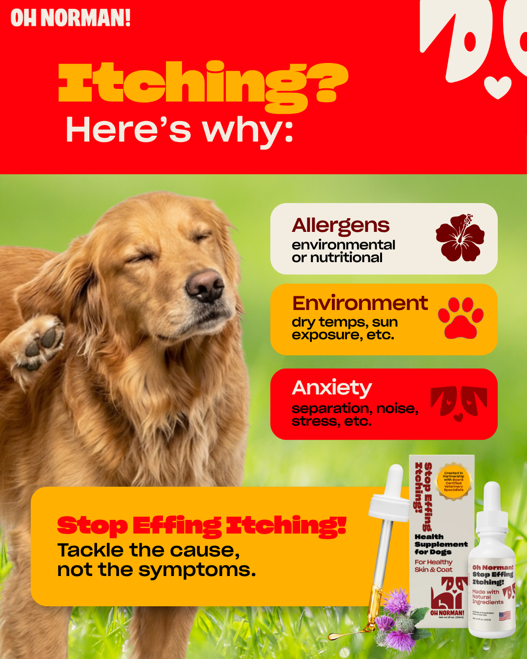 Ohnorman Facebook ad
