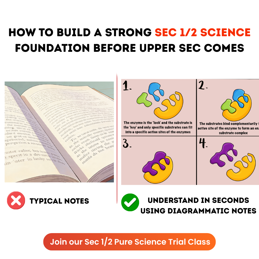 learnalink Facebook ad: How to score As by EOY?