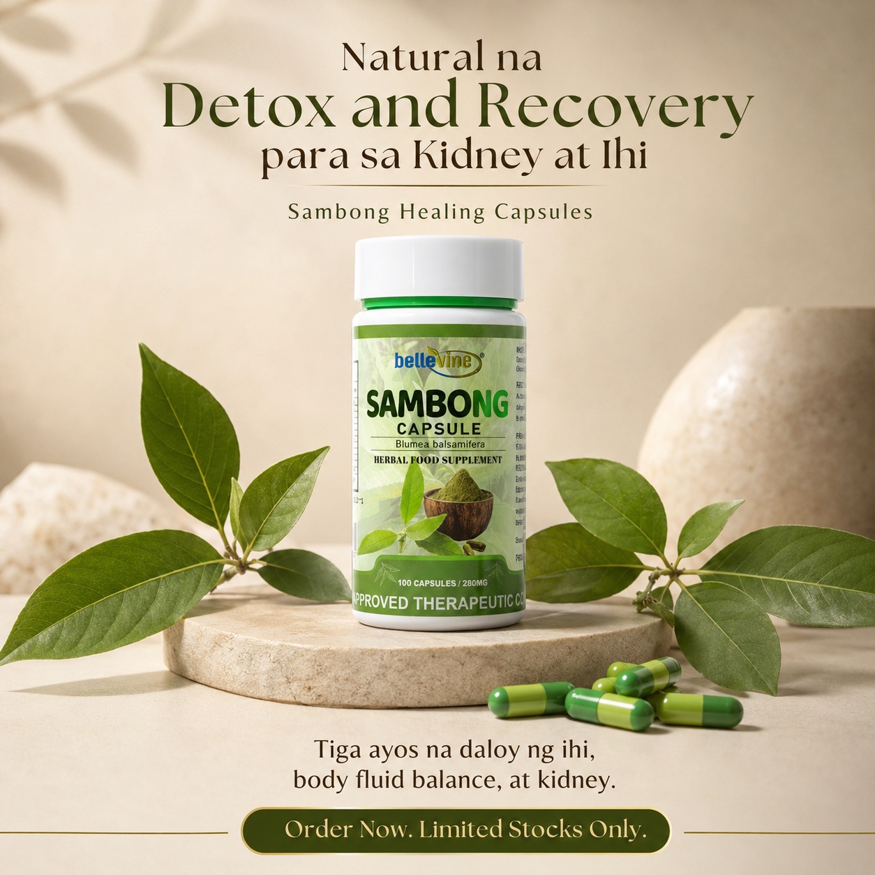 Sambong Healing Capsules PH Facebook ad