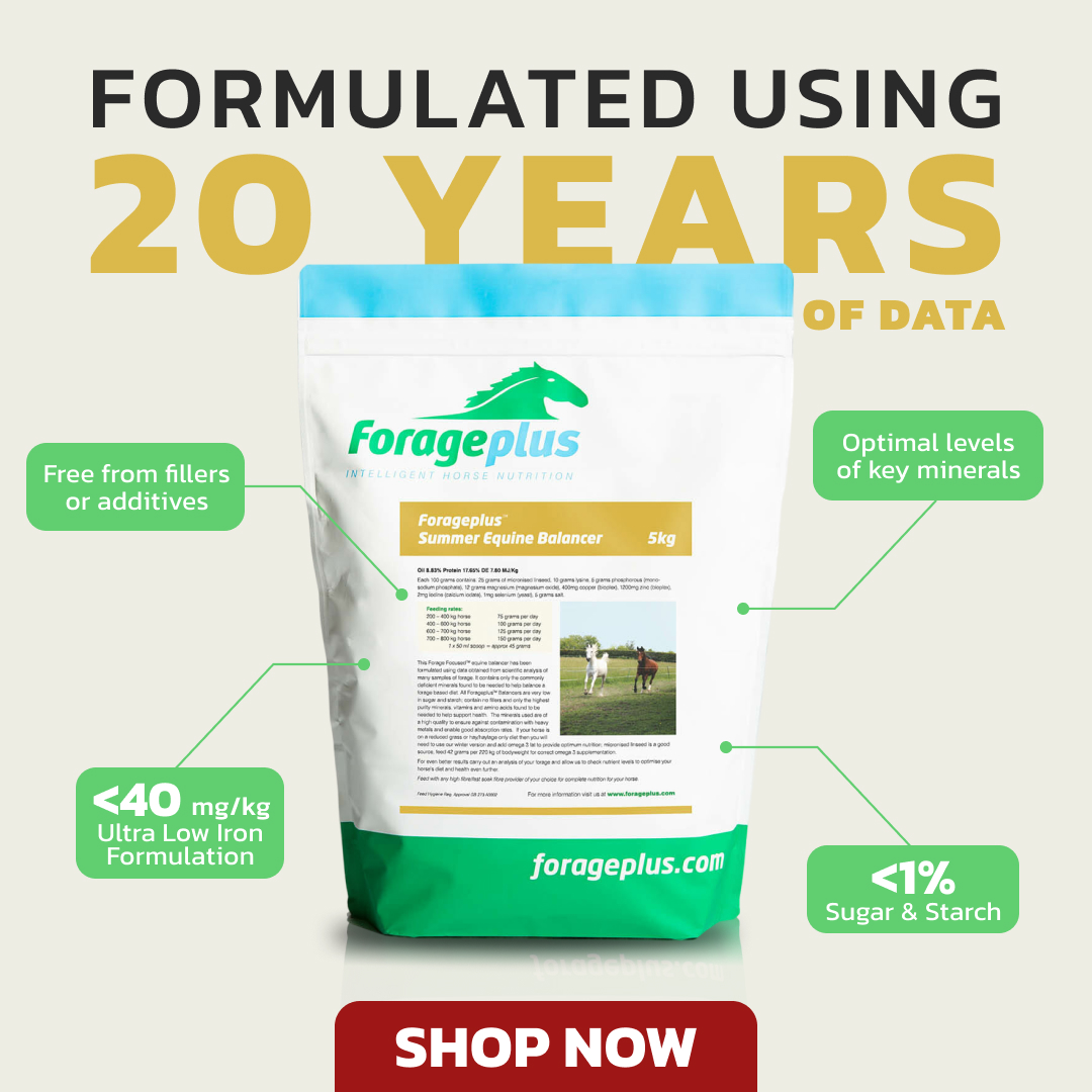 Forageplus Facebook ad: Science-led Nutrition for Your Horse, Delivered To Your Door