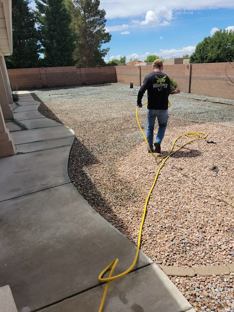 Southwest Weed & Pest Solution LLC Facebook ad: Stop Weeds Now $39.99
