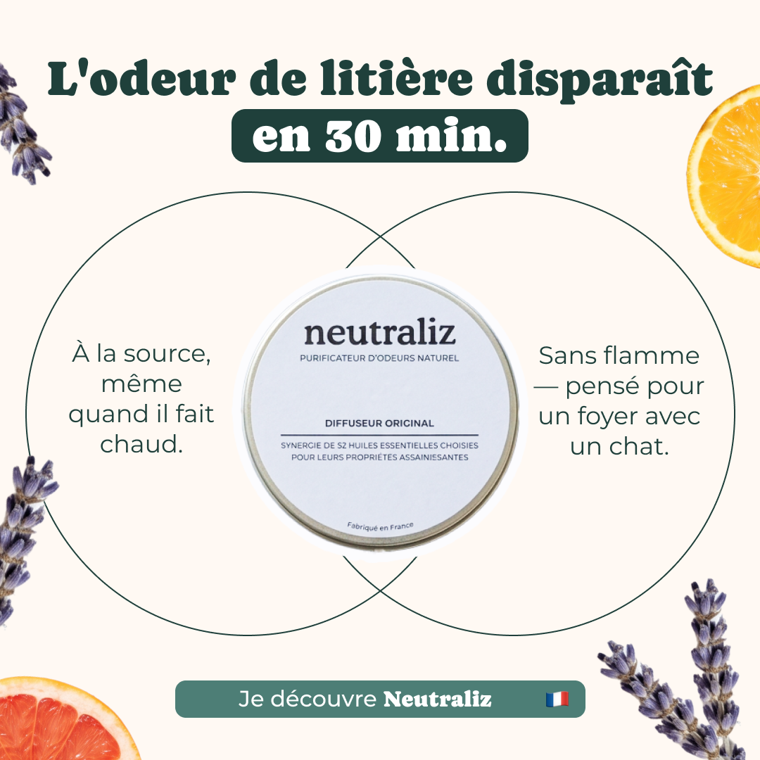 NeutraliZ Facebook ad: Neutralisez les mauvaises odeurs
