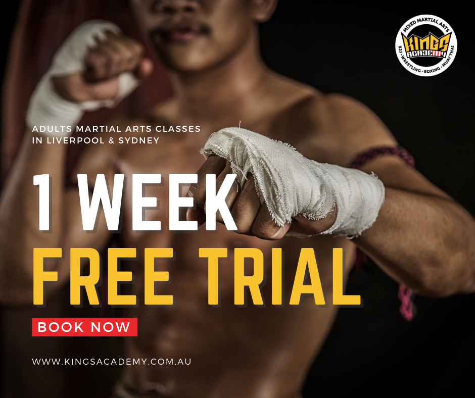 Kings Academy of Martial Arts Facebook ad from Dec 17, 2025