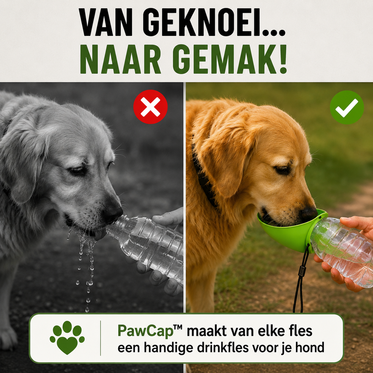 Pootr Facebook ad: Past in elke tas. Altijd water voor je hond.