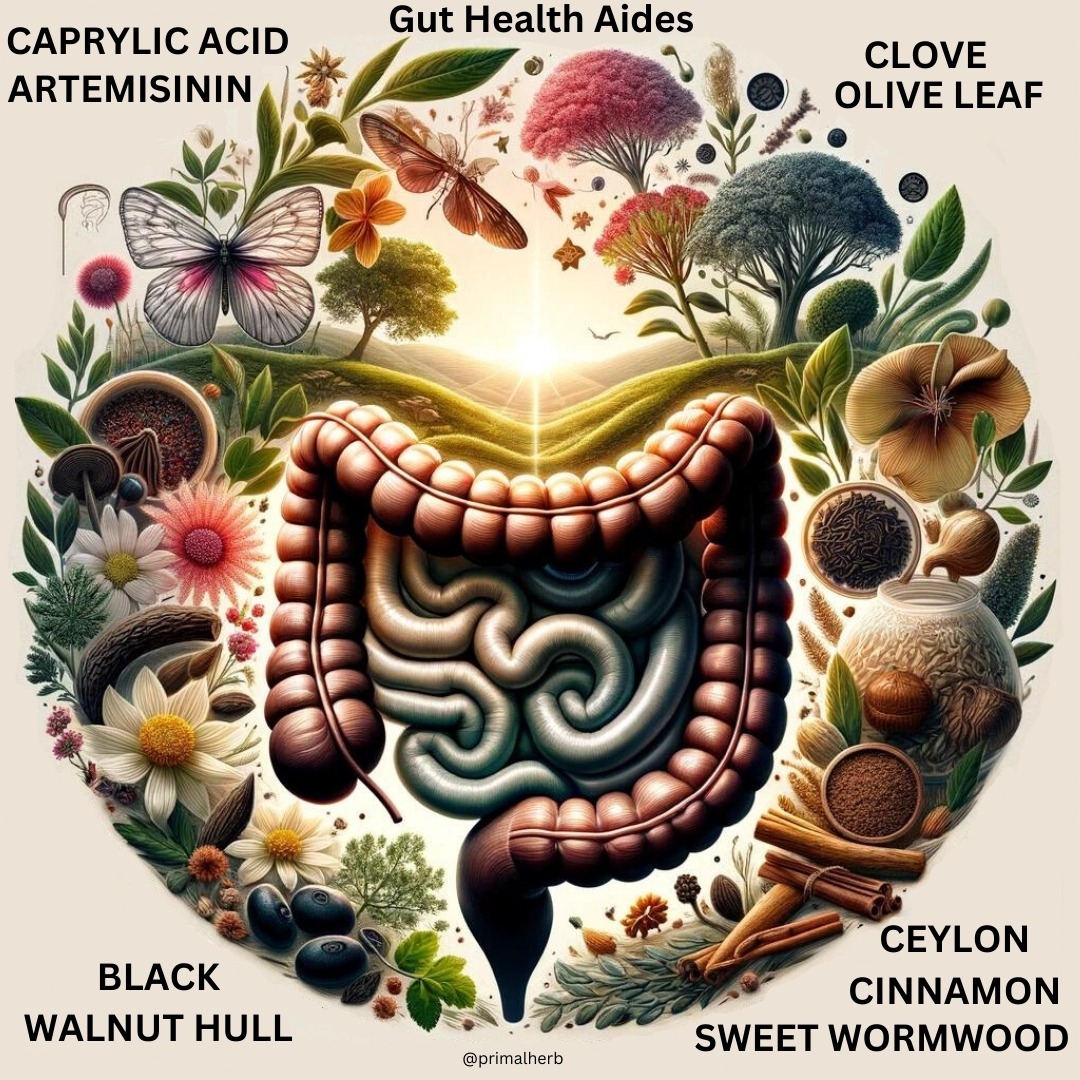 Primal Herb - Balance Restore Optimize Facebook ad