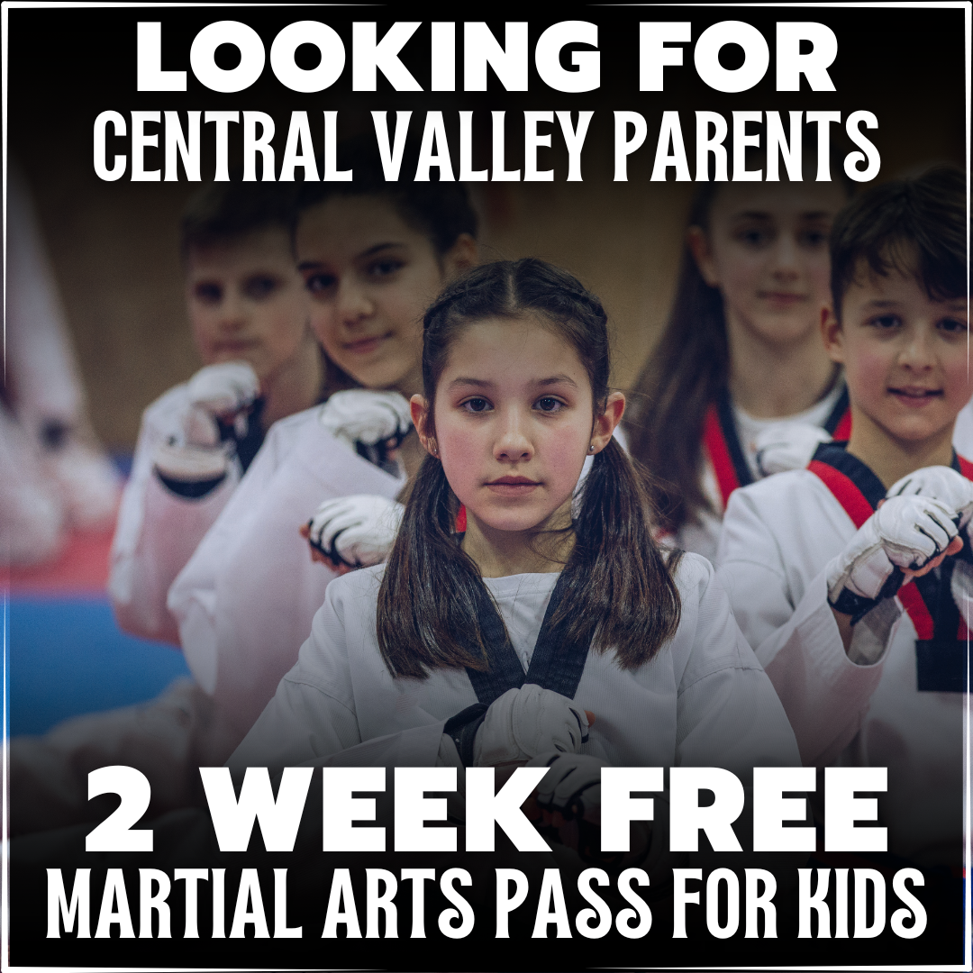 Success Martial Arts Facebook ad: 2 WEEKS OF FREE MARTIAL ARTS CLASSES!
