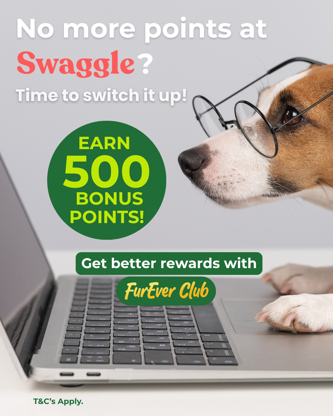 Budget Pet Products Facebook ad
