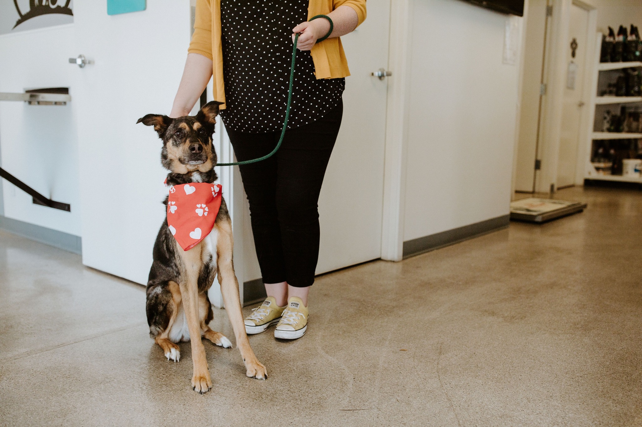 Merrimack Veterinary Hospital Facebook ad