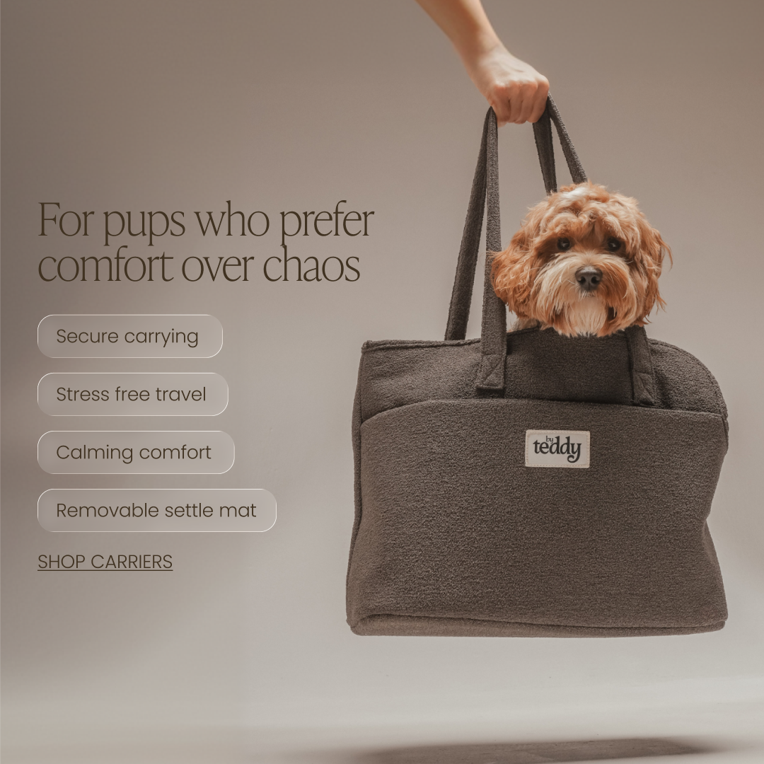 By Teddy Facebook ad