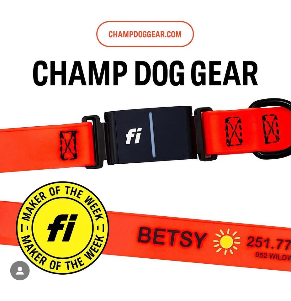 Champ Dog Gear Facebook ad: We offer a large unique selection of leather…