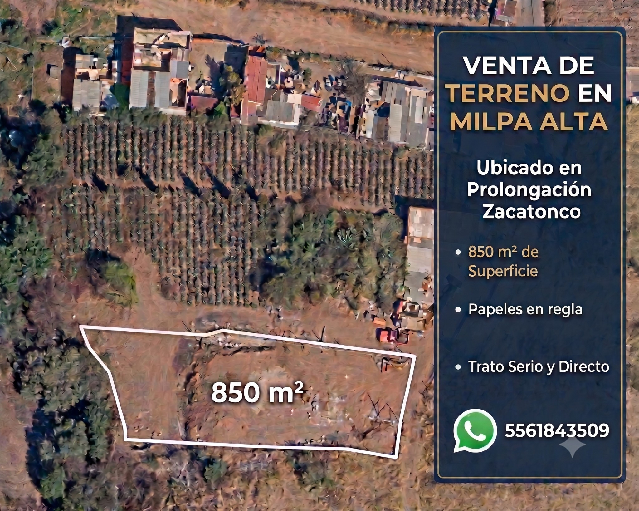 Locanishi Locano Facebook ad