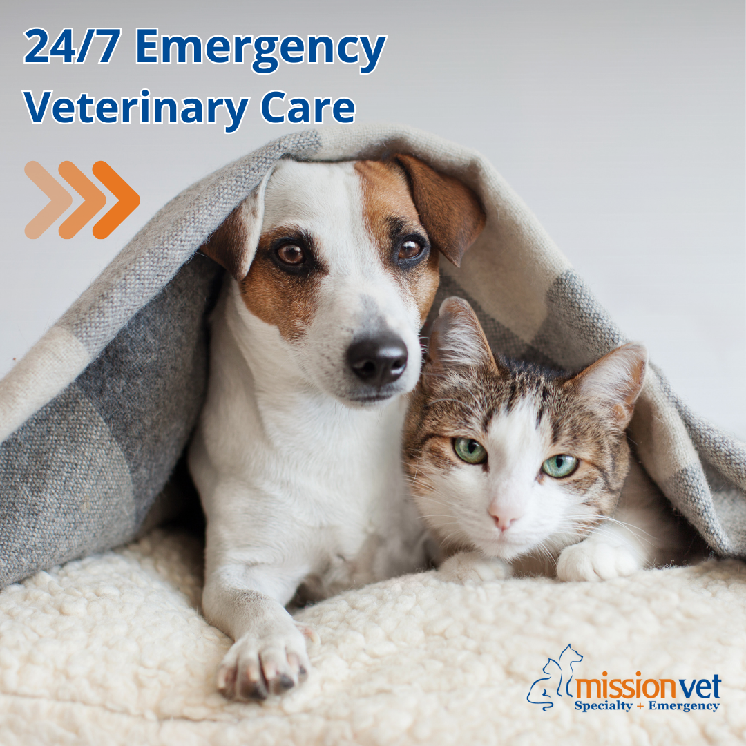 MissionVet Specialty & Emergency Facebook ad: 24/7 Emergency Care.