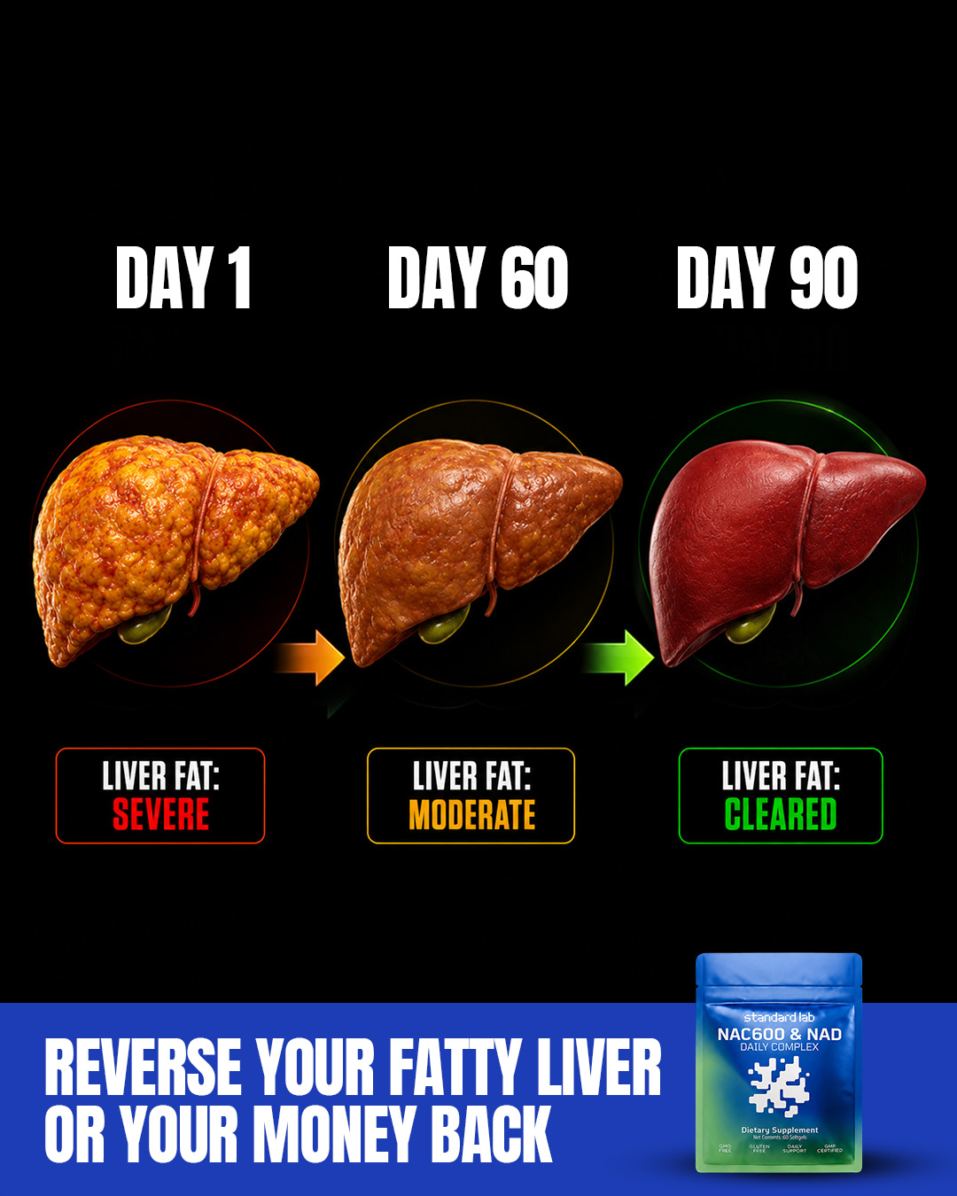 The Standard Lab Facebook ad