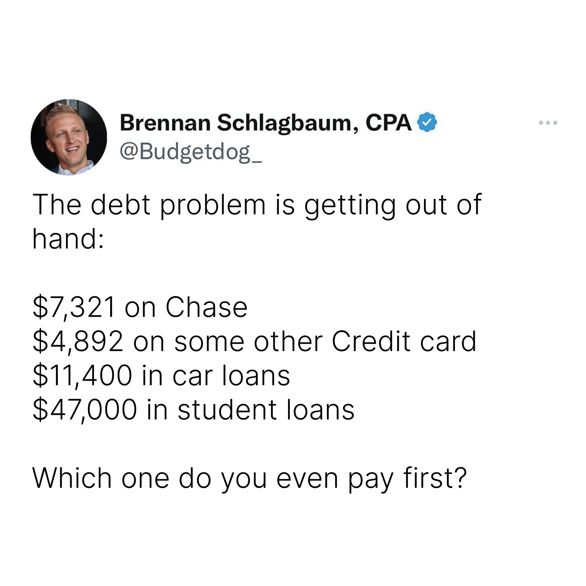 Budgetdog Facebook ad